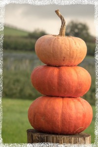 pumpkins-504120_640.jpg